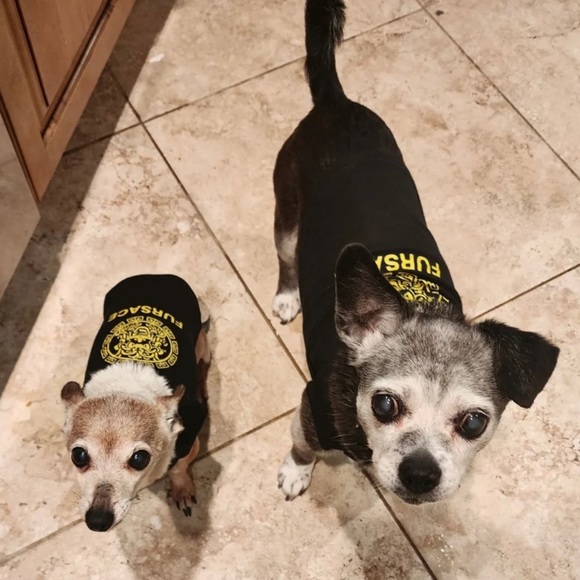 FURSACE Small Dog/ Cat Tee Shirt/ Black and Gold/ Brand New - Picture 11 of 14